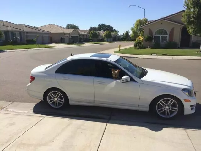 A-1 Window Tinting