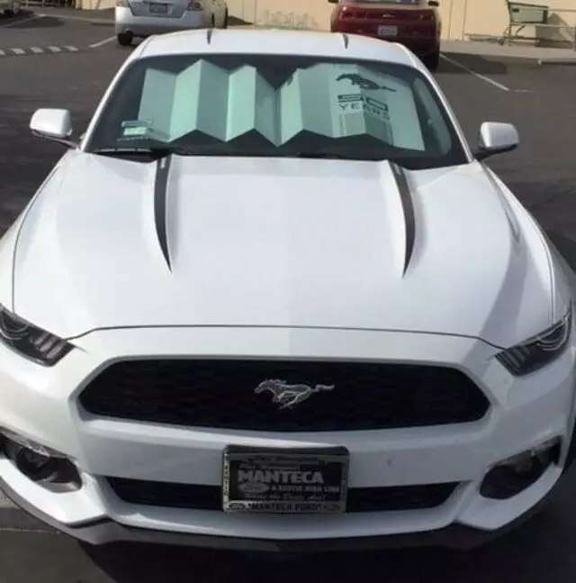 A-1 Window Tinting