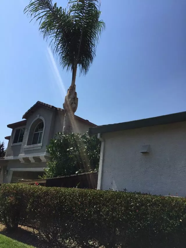 Angel’s Tree Service