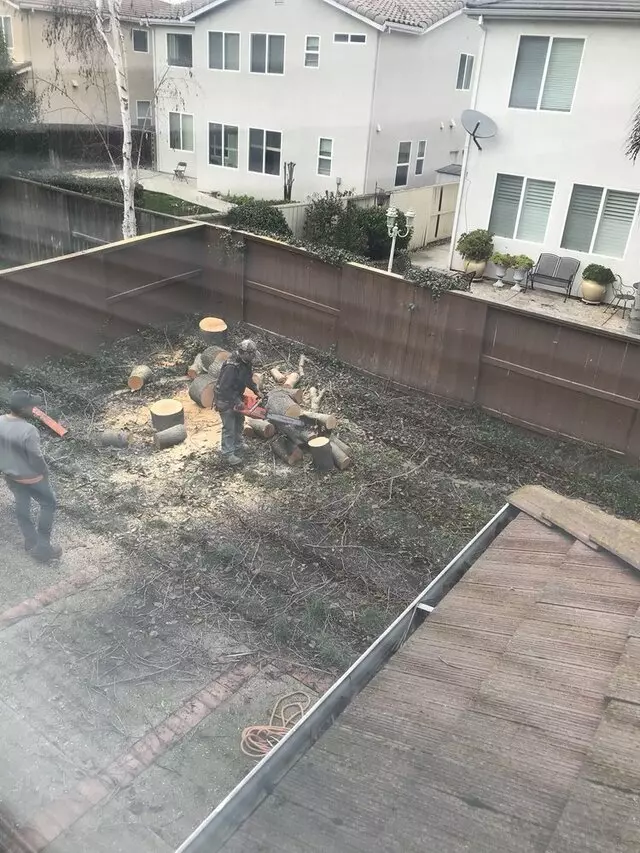 Angel’s Tree Service