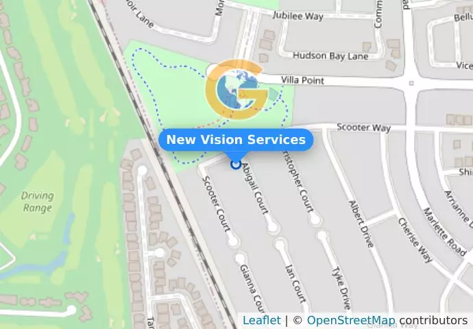 New Vision Services