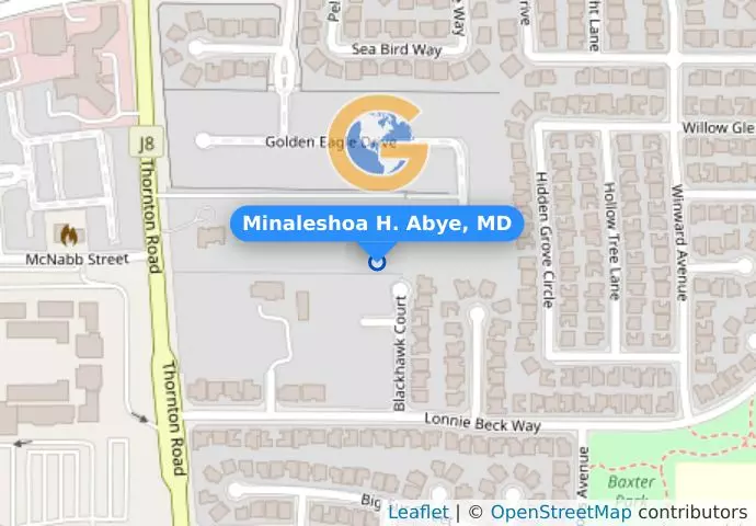 Minaleshoa H. Abye, MD