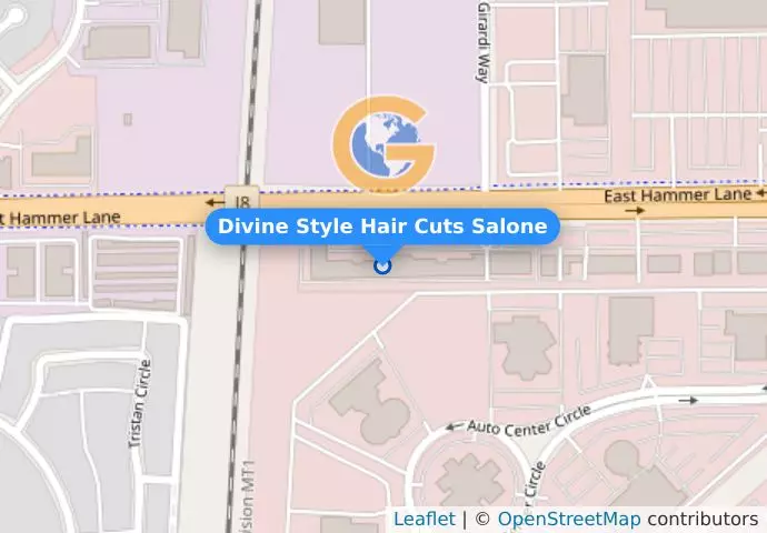 Divine Style Hair Cuts Salone