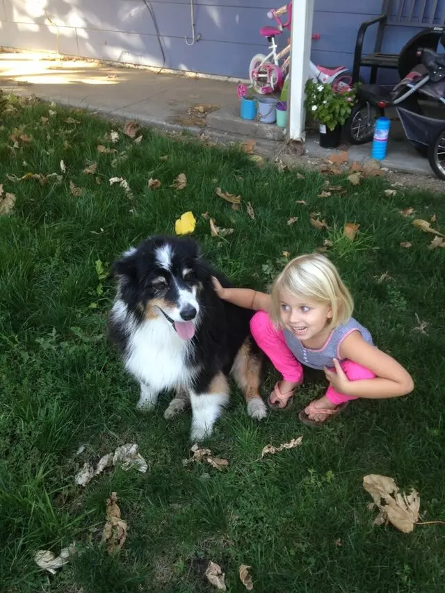 Anytime Mobile Grooming