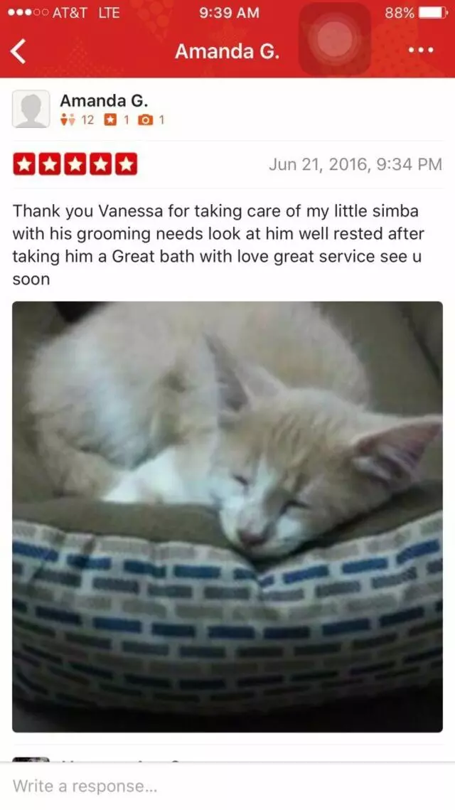 Anytime Mobile Grooming