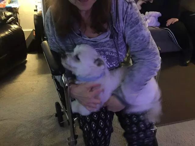 Anytime Mobile Grooming