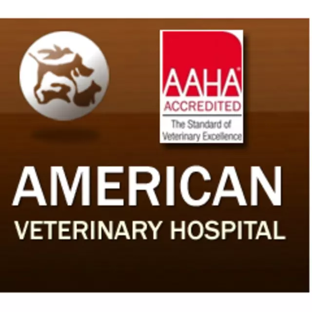 American Veterinary Hospital