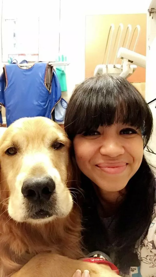 American Veterinary Hospital