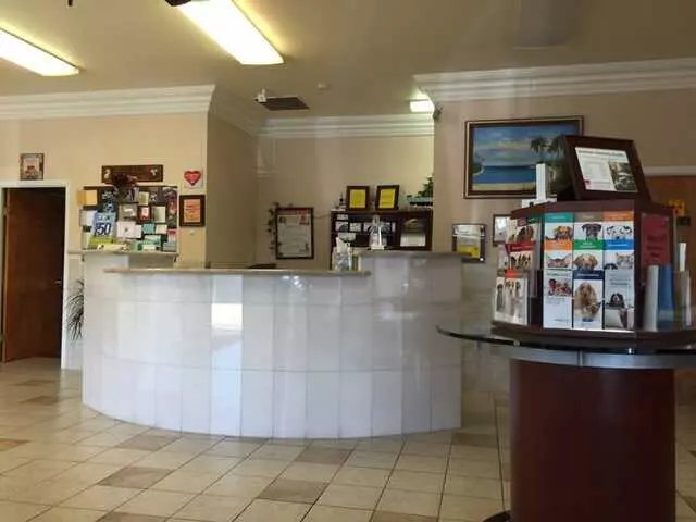 American Veterinary Hospital