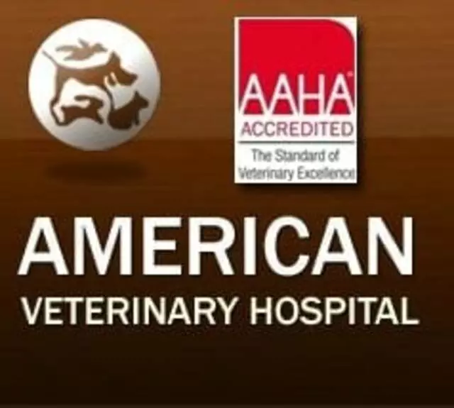 American Veterinary Hospital