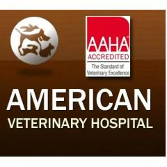 American Veterinary Hospital