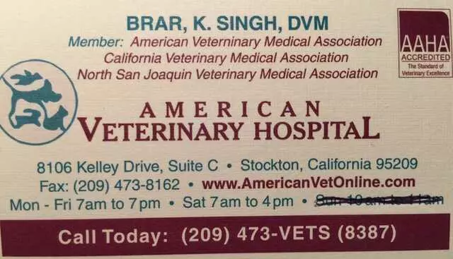 American Veterinary Hospital