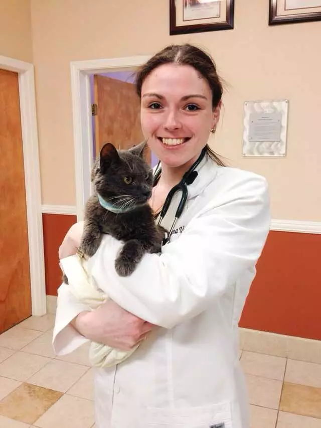 American Veterinary Hospital
