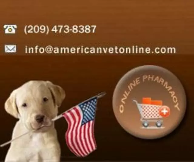 American Veterinary Hospital