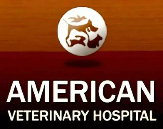 American Veterinary Hospital