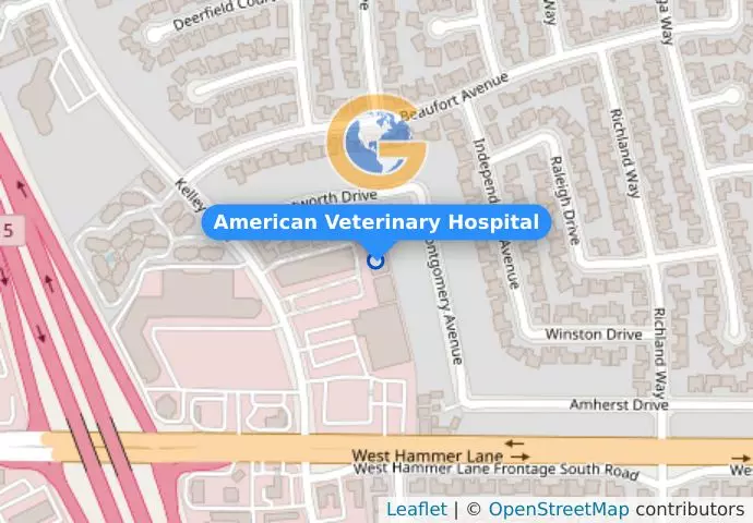 American Veterinary Hospital