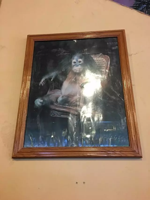 Cancun Restaurant