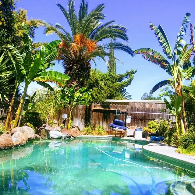Clearwater Pool and Spa