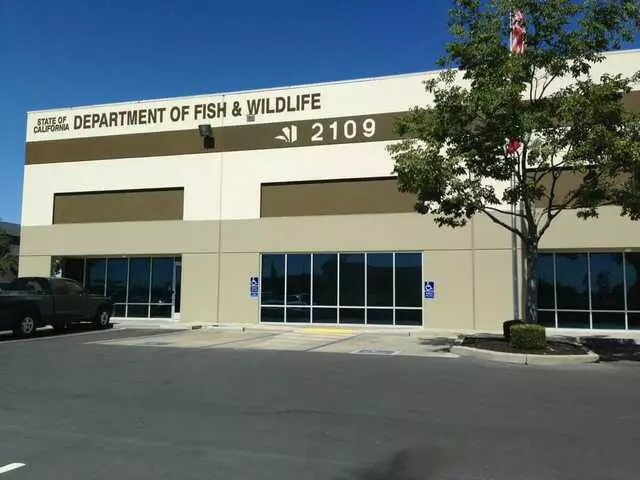 Department of Fish and Wildlife