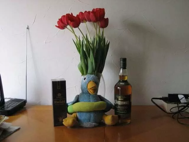 Young Growth Toys