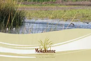 Mokelumne Federal Credit Union