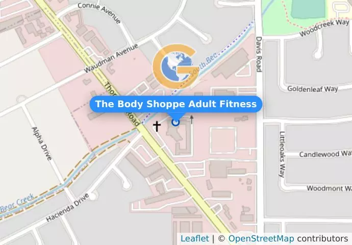 The Body Shoppe Adult Fitness