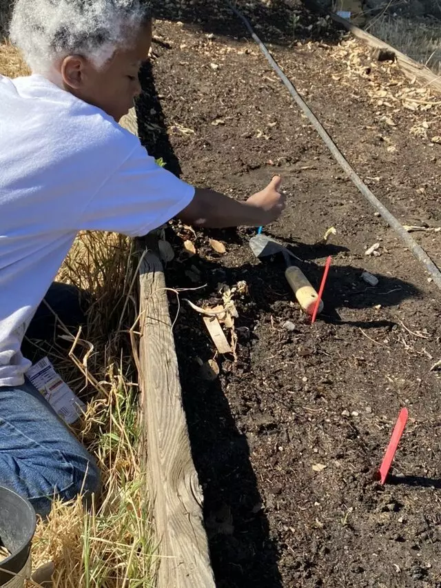 Central Valley Neighborhood Harvest