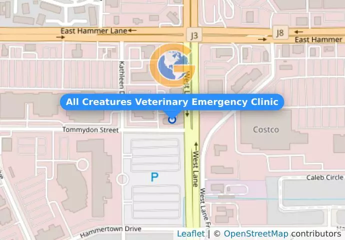All Creatures Veterinary Emergency Clinic