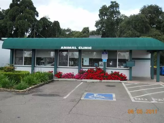 Animal Clinic