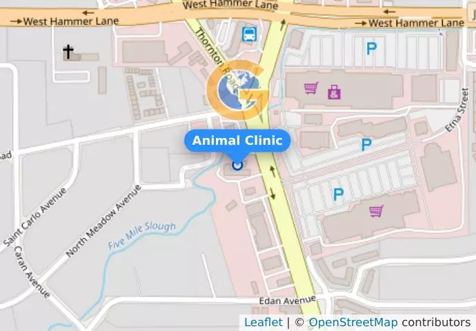 Animal Clinic