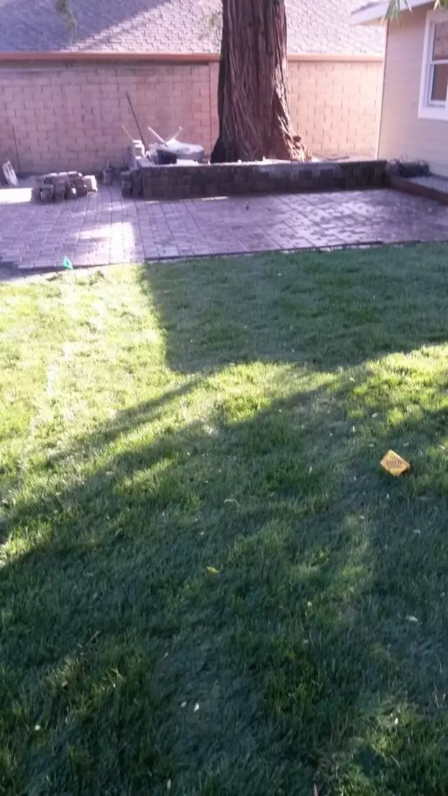 7 Orange Landscaping