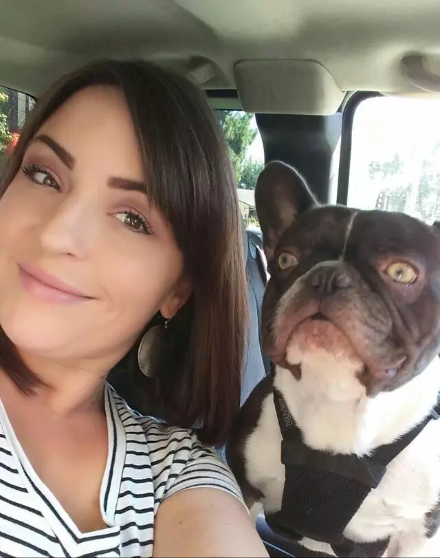Above & Beyond Mobile Pet Grooming