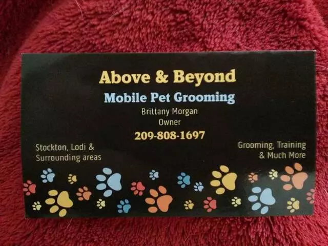 Above & Beyond Mobile Pet Grooming