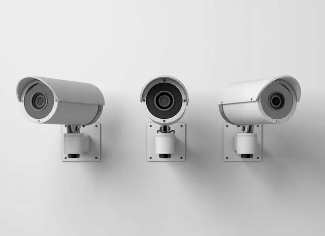 Data Media Services
