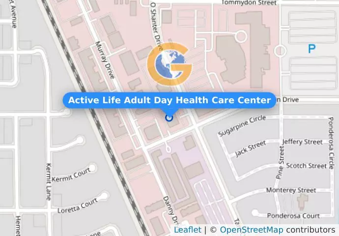 Active Life Adult Day Health Care Center