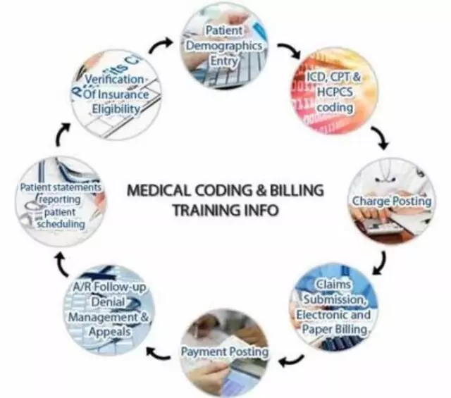 Valley Medical Management