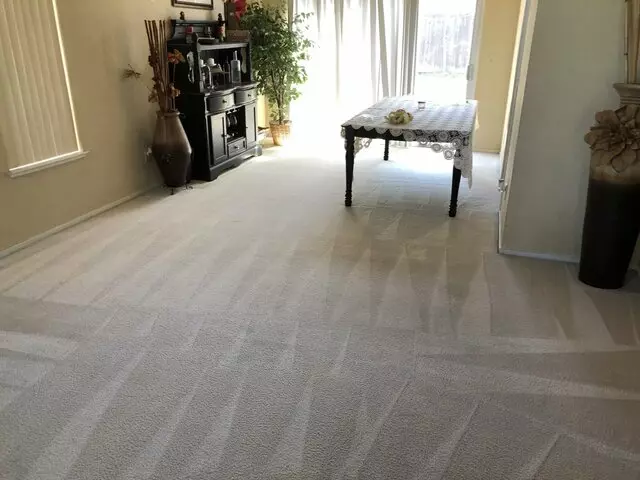 Express carpet cleaning & Maintenance