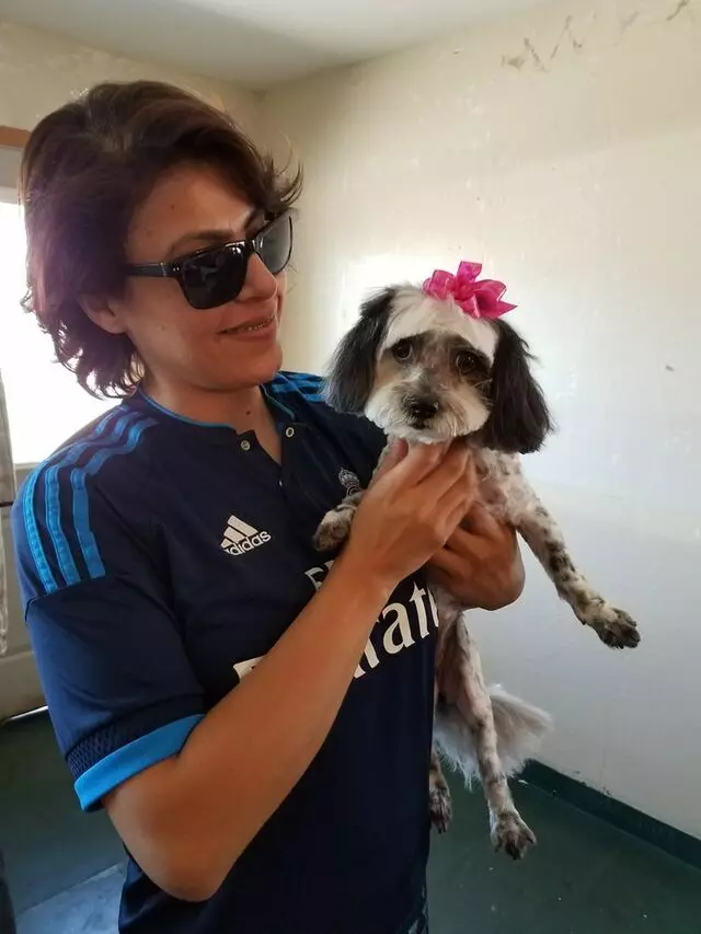 209 Club Pet