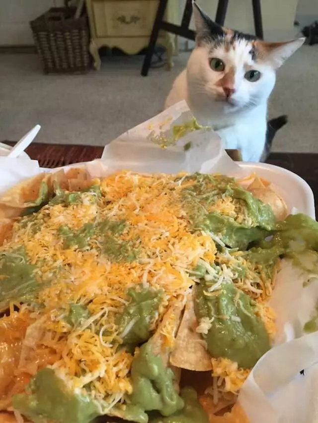 Alberto’s Mexican Food