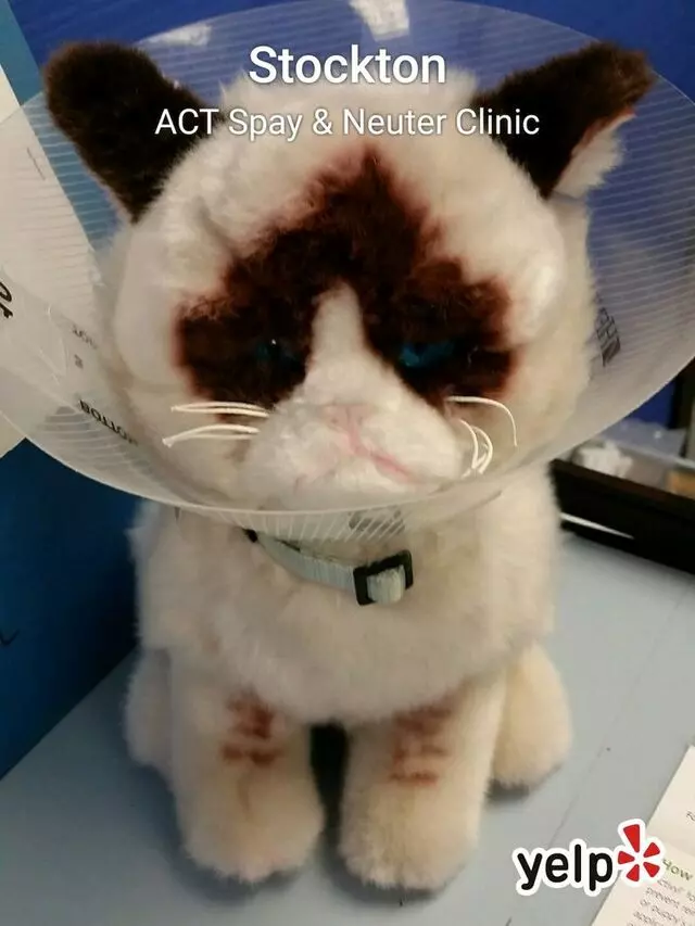 ACT Spay & Neuter Clinic
