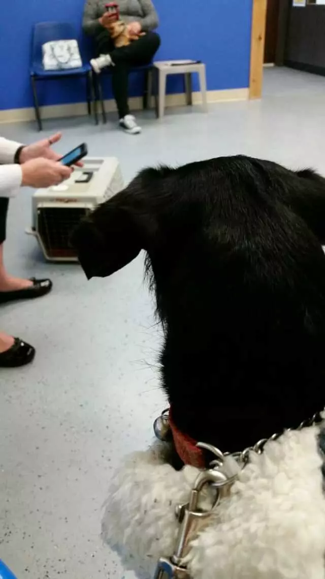 ACT Spay & Neuter Clinic