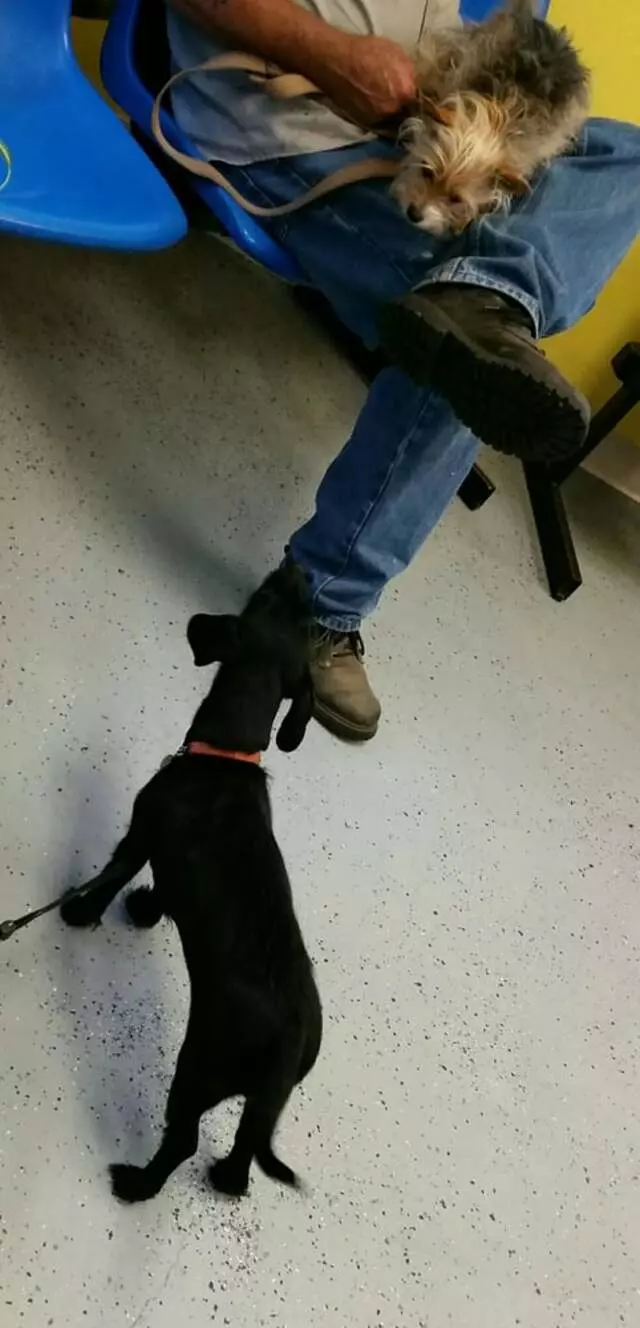 ACT Spay & Neuter Clinic