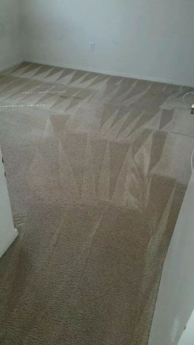 All American Carpet Cleaning