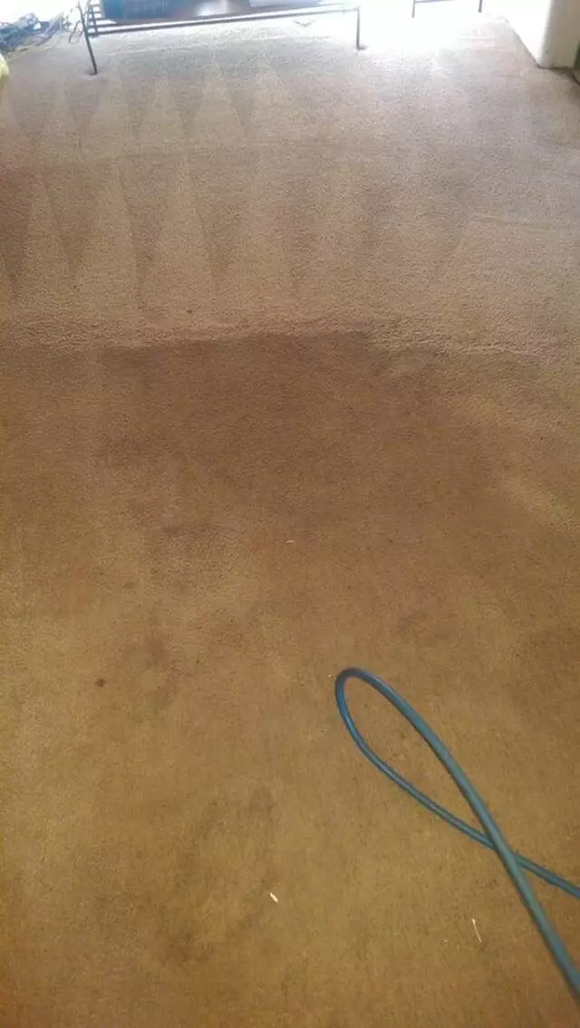 All American Carpet Cleaning