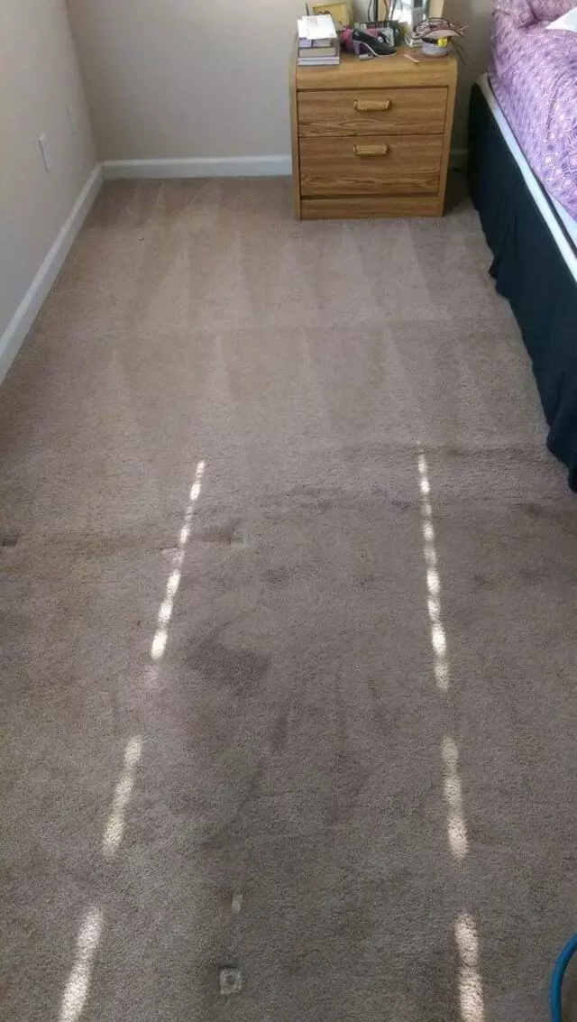 All American Carpet Cleaning