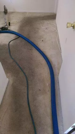All American Carpet Cleaning