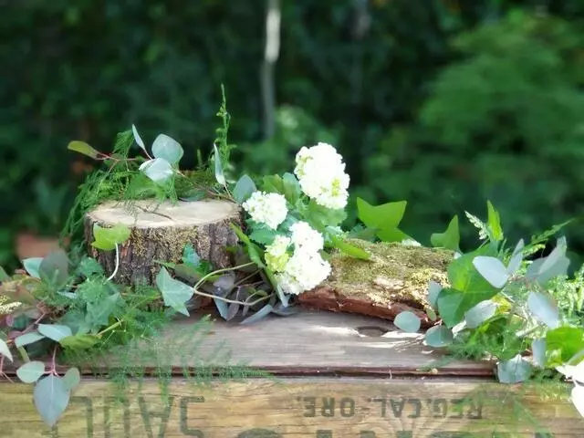 Anneliesa’s Table