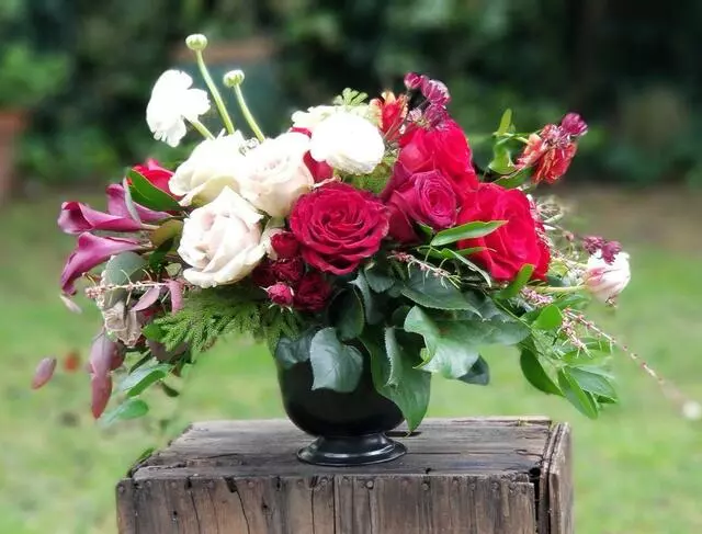 Anneliesa’s Table