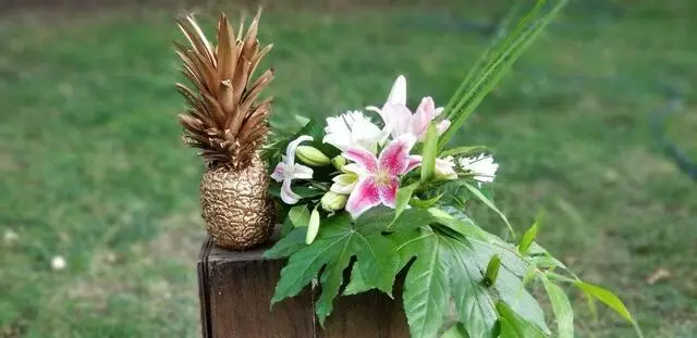 Anneliesa’s Table