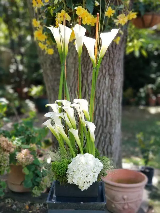 Anneliesa’s Table